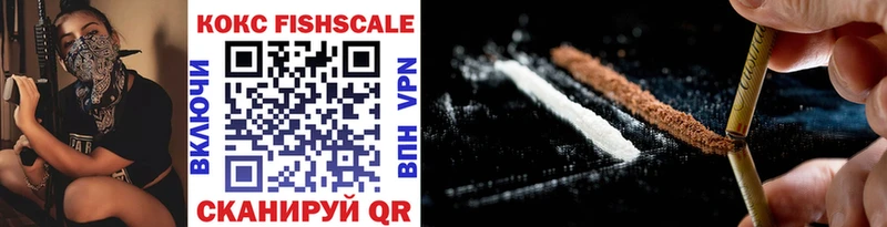 Cocaine FishScale  Купить где  Дно 