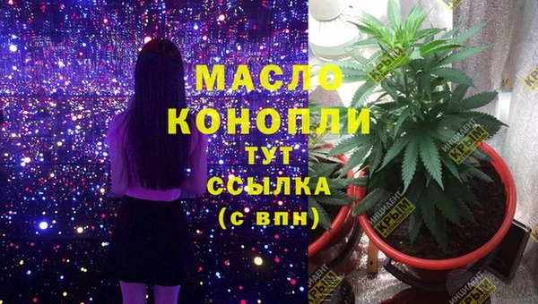 СК Зеленодольск