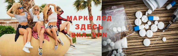СК Зеленодольск