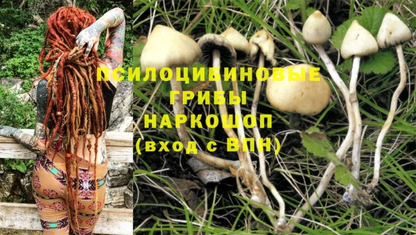кокаин колумбия Зерноград